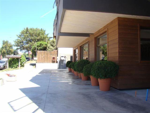 Hotel Terraza Suite Villarrica Eksteriør billede