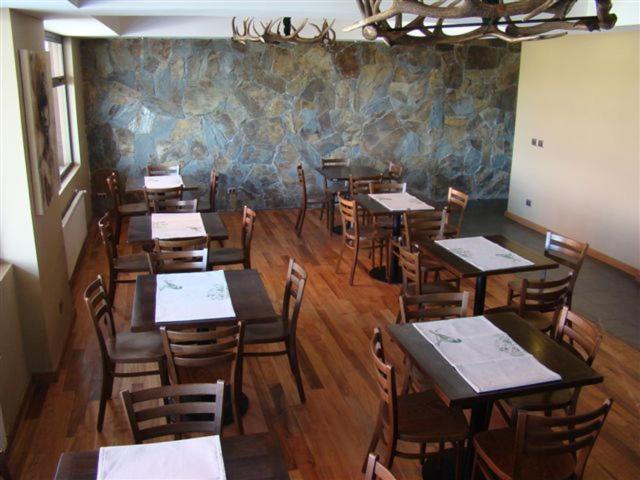 Hotel Terraza Suite Villarrica Eksteriør billede