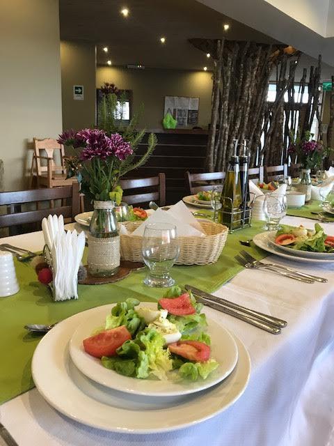 Hotel Terraza Suite Villarrica Eksteriør billede